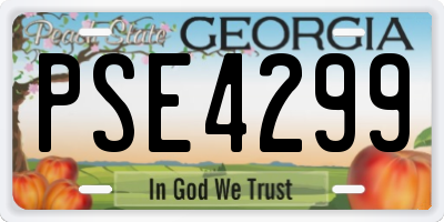 GA license plate PSE4299