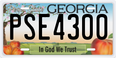 GA license plate PSE4300