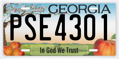 GA license plate PSE4301