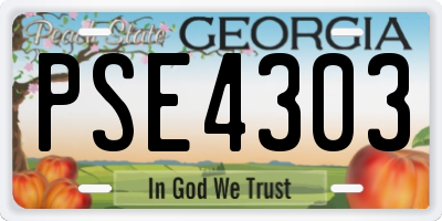 GA license plate PSE4303