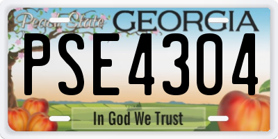 GA license plate PSE4304