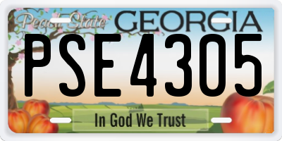 GA license plate PSE4305