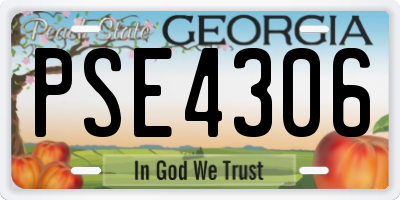 GA license plate PSE4306