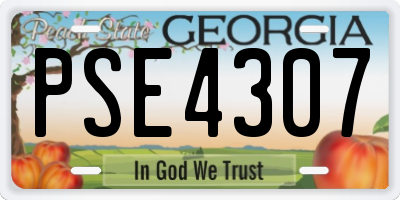 GA license plate PSE4307