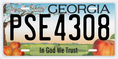 GA license plate PSE4308