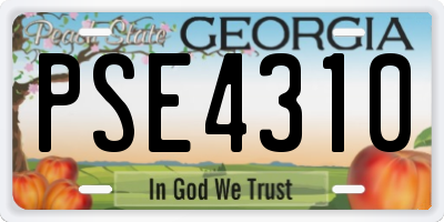 GA license plate PSE4310