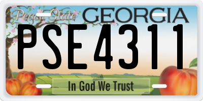 GA license plate PSE4311