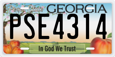 GA license plate PSE4314