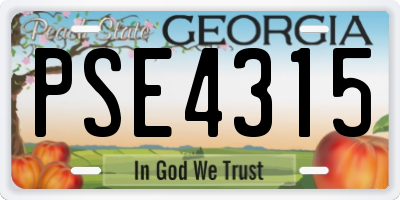 GA license plate PSE4315