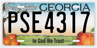 GA license plate PSE4317