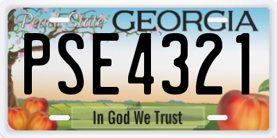 GA license plate PSE4321
