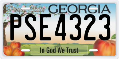 GA license plate PSE4323