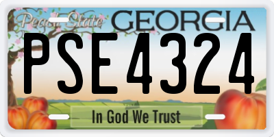 GA license plate PSE4324