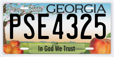 GA license plate PSE4325
