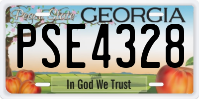 GA license plate PSE4328