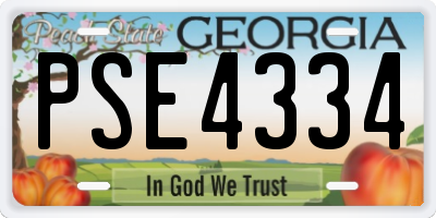 GA license plate PSE4334