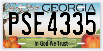 GA license plate PSE4335