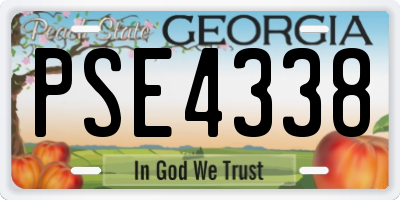 GA license plate PSE4338