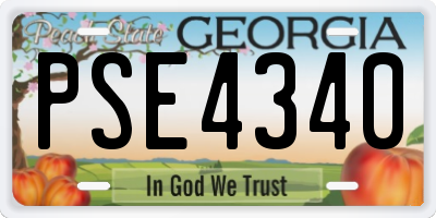 GA license plate PSE4340
