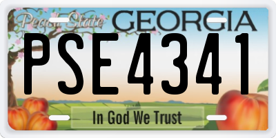 GA license plate PSE4341