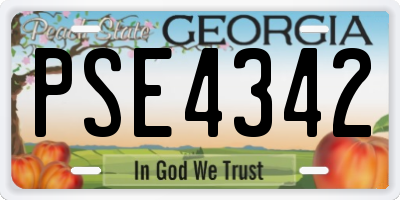 GA license plate PSE4342