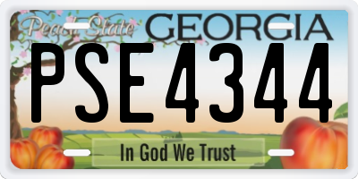 GA license plate PSE4344