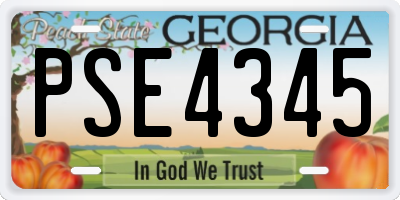 GA license plate PSE4345