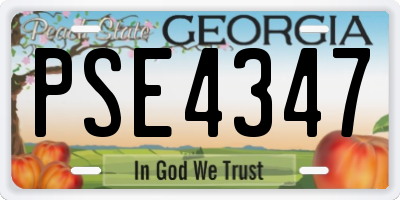 GA license plate PSE4347