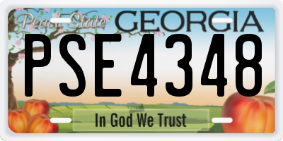 GA license plate PSE4348