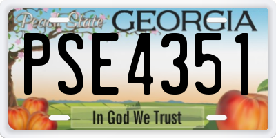 GA license plate PSE4351