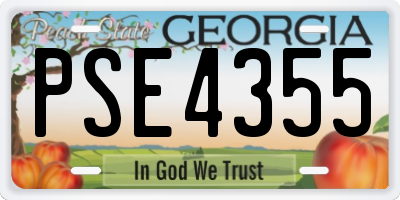 GA license plate PSE4355