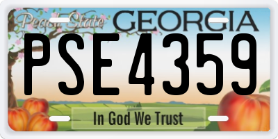 GA license plate PSE4359