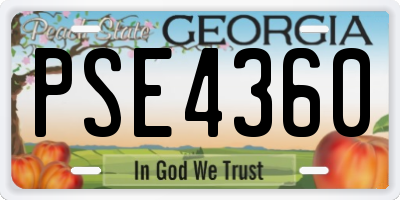 GA license plate PSE4360