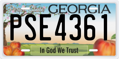 GA license plate PSE4361