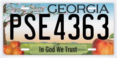GA license plate PSE4363