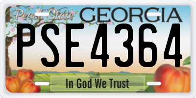 GA license plate PSE4364