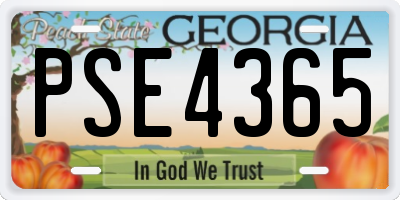 GA license plate PSE4365