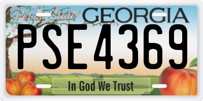 GA license plate PSE4369
