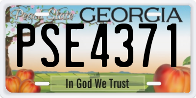 GA license plate PSE4371