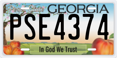 GA license plate PSE4374