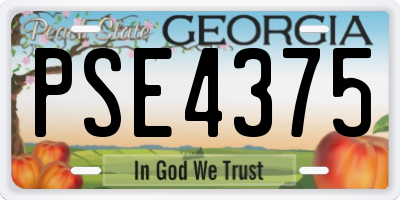 GA license plate PSE4375