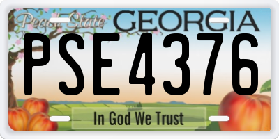 GA license plate PSE4376