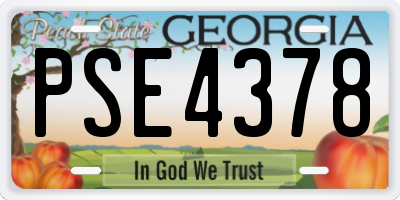 GA license plate PSE4378