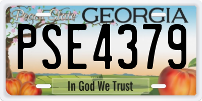 GA license plate PSE4379