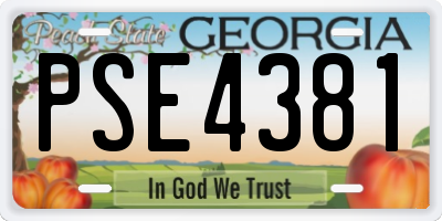 GA license plate PSE4381