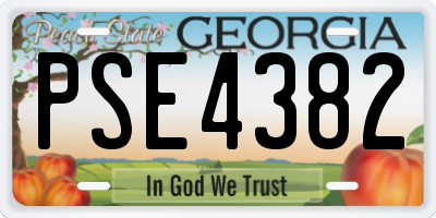 GA license plate PSE4382