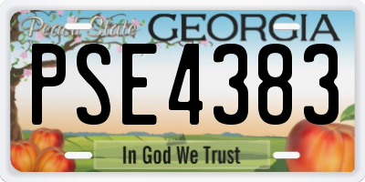 GA license plate PSE4383