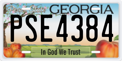 GA license plate PSE4384