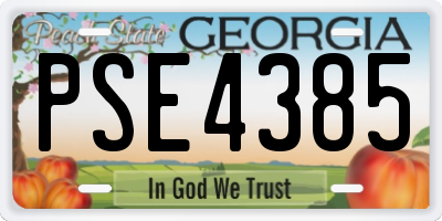 GA license plate PSE4385