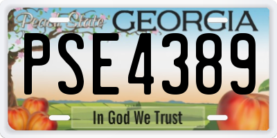 GA license plate PSE4389